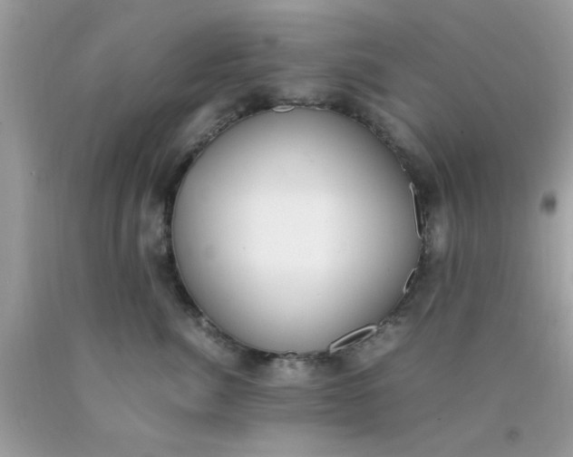 X0000090410764200707272049