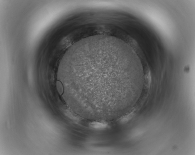 X0000090410765200707272049