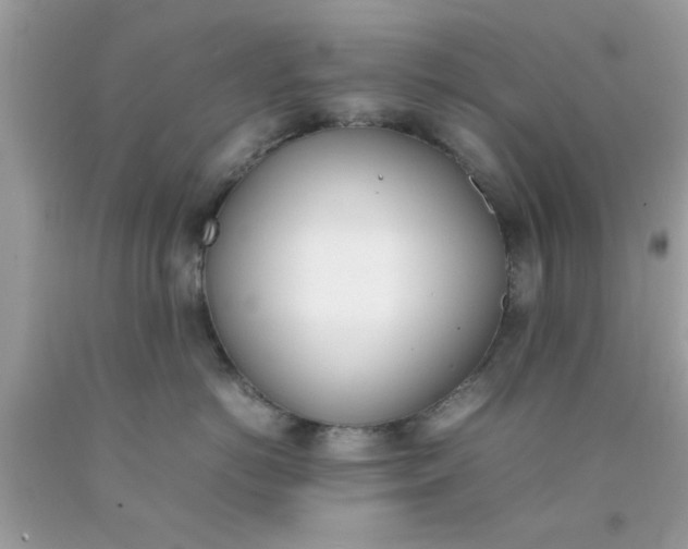 X0000090410766200707272049