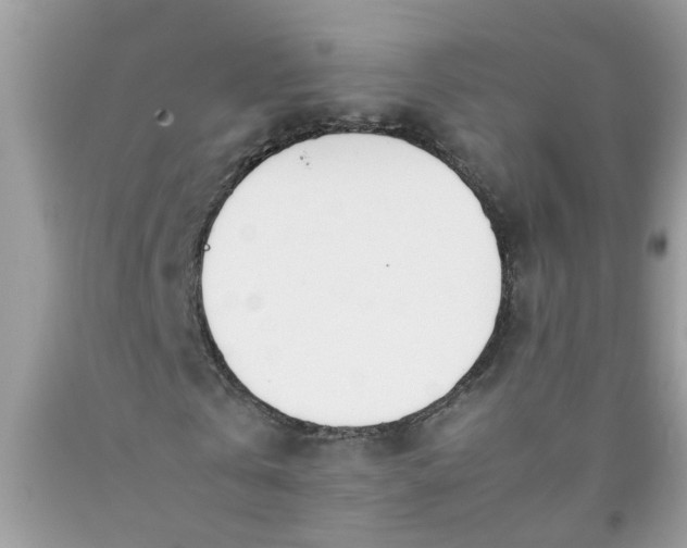 X0000090410769200707272048