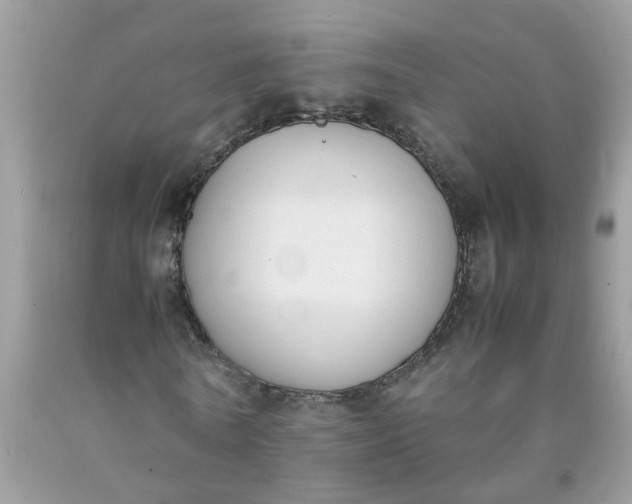 X0000090410770200707272048