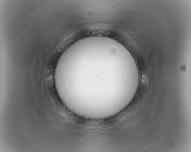 X0000090410771200707272048