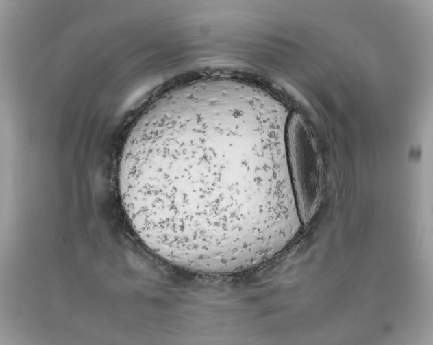 X0000090410775200707272048