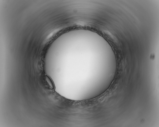 X0000090410776200707272048