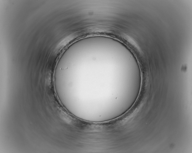 X0000090410777200707272048