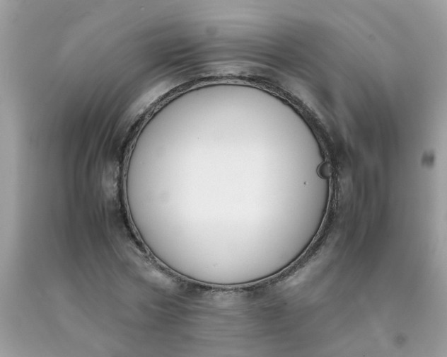 X0000090410778200707272048