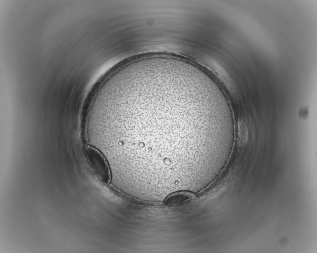 X0000090410780200707272048