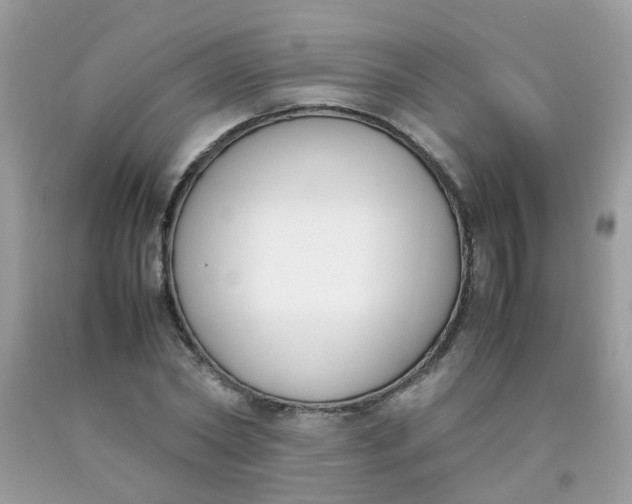 X0000090410782200707272048