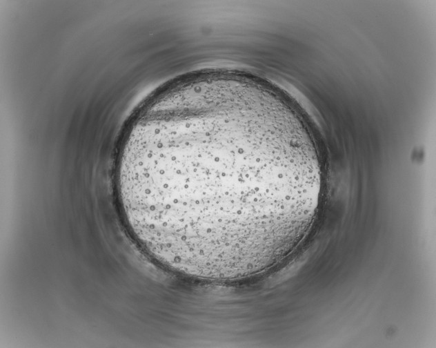 X0000090410783200707272048