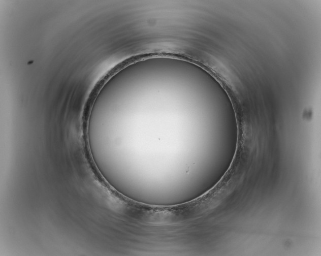 X0000090410784200707272048