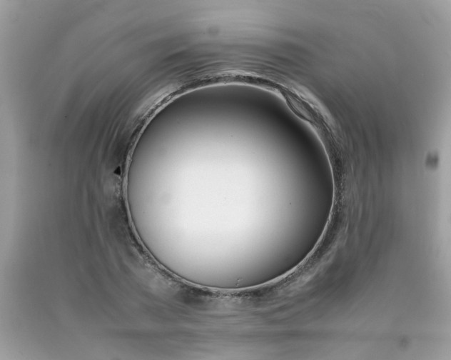 X0000090410785200707272048