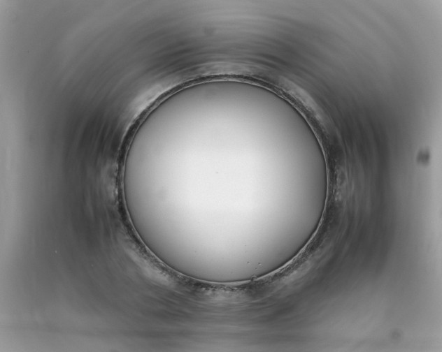 X0000090410786200707272048