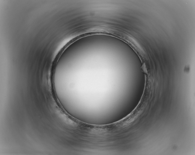 X0000090410788200707272048
