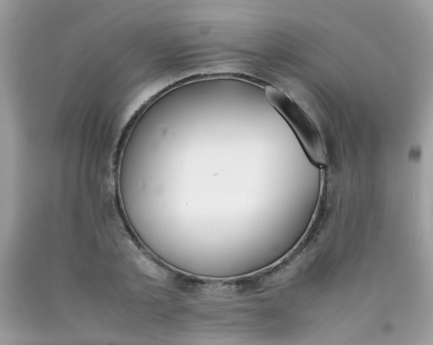 X0000090410789200707272048