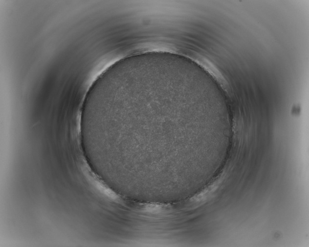 X0000090410790200707272048