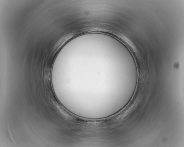 X0000090410793200707272048