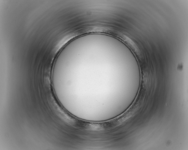 X0000090410794200707272048