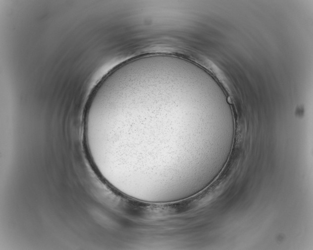 X0000090410795200707272048