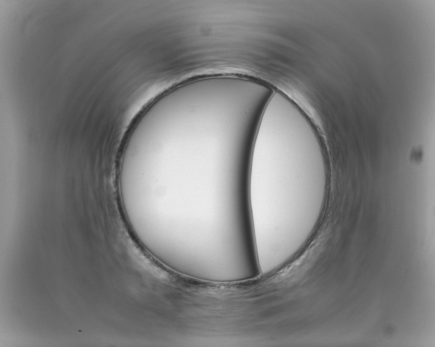 X0000090410797200707272048