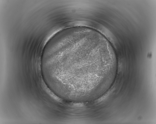 X0000090410798200707272048