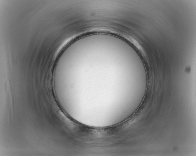 X0000090410799200707272048