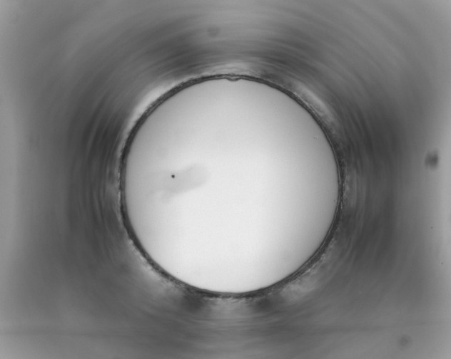 X0000090410800200707272048
