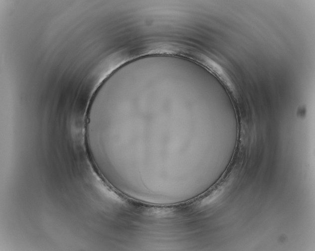 X0000090410802200707272048