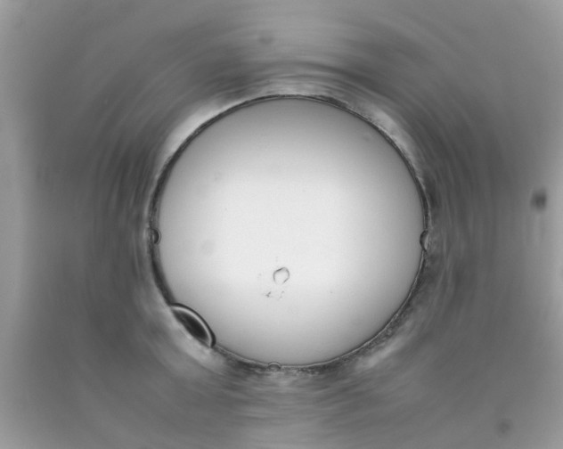 X0000090410803200707272048