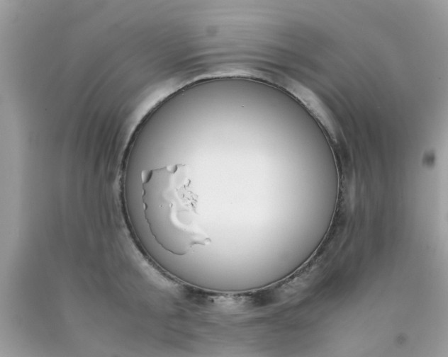 X0000090410805200707272048