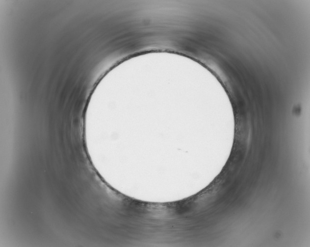 X0000090410807200707272048
