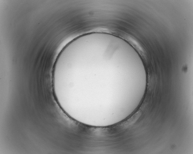 X0000090410808200707272048
