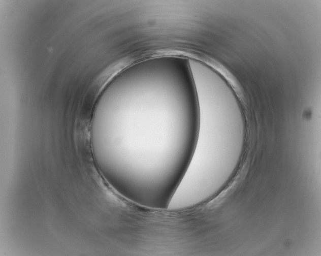 X0000090410809200707272048