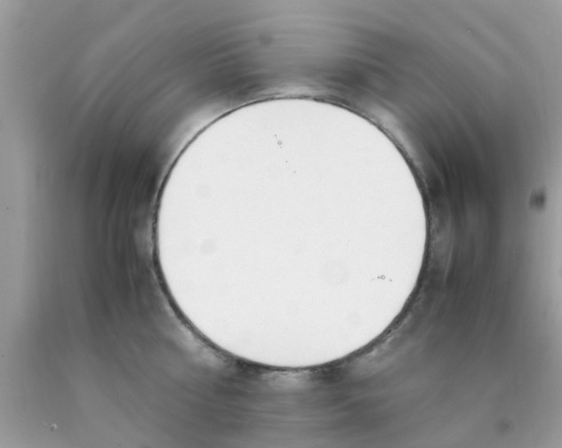 X0000090410810200707272048