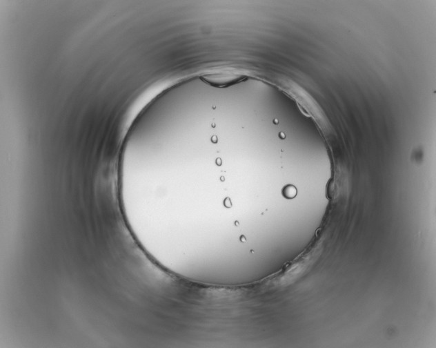 X0000090410812200707272048