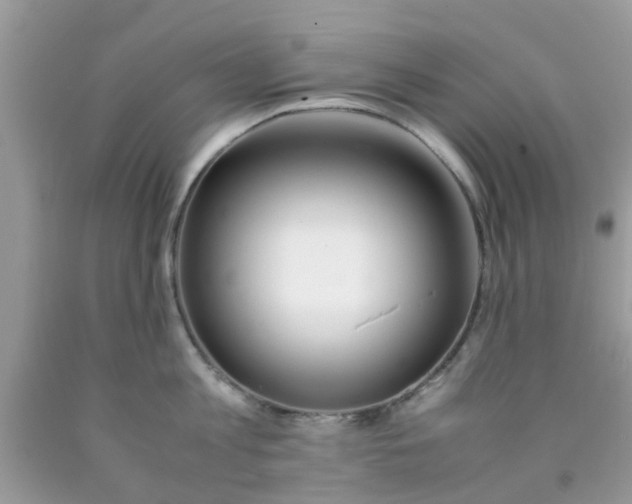 X0000090410813200707272048