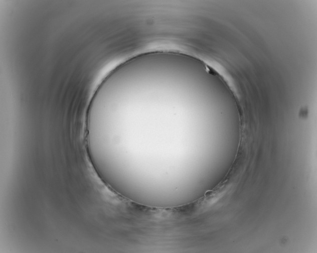 X0000090410815200707272048