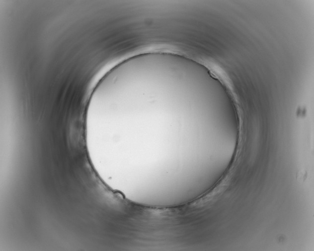 X0000090410816200707272048