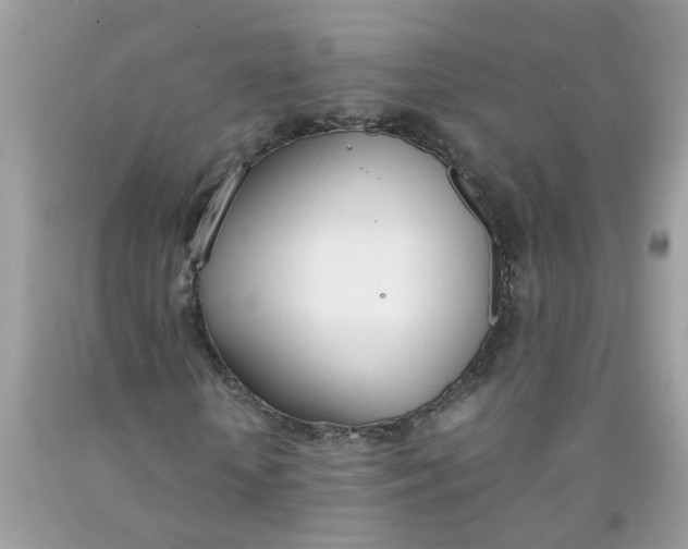 X0000090410818200707272047