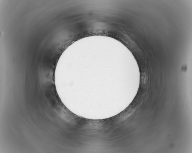 X0000090410820200707272047