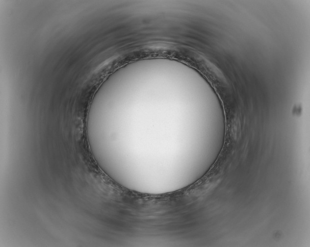 X0000090410821200707272047