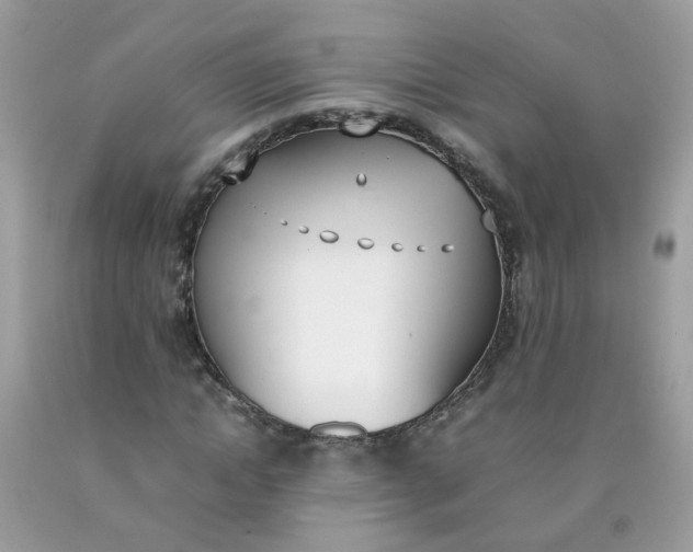 X0000090410822200707272047