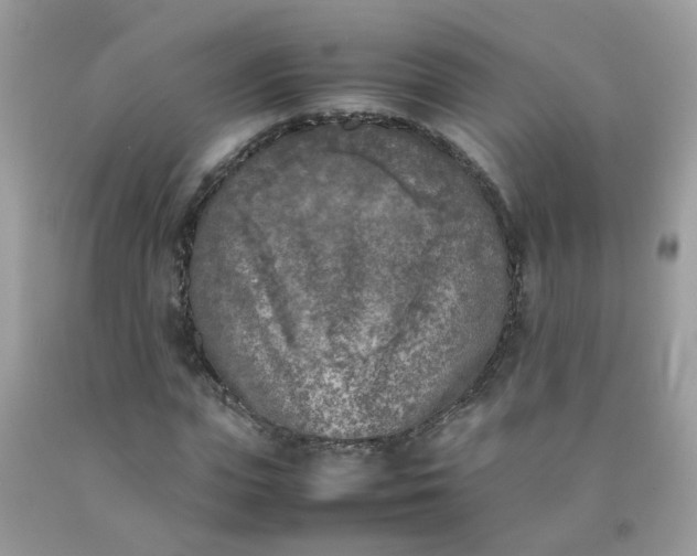 X0000090410823200707272047
