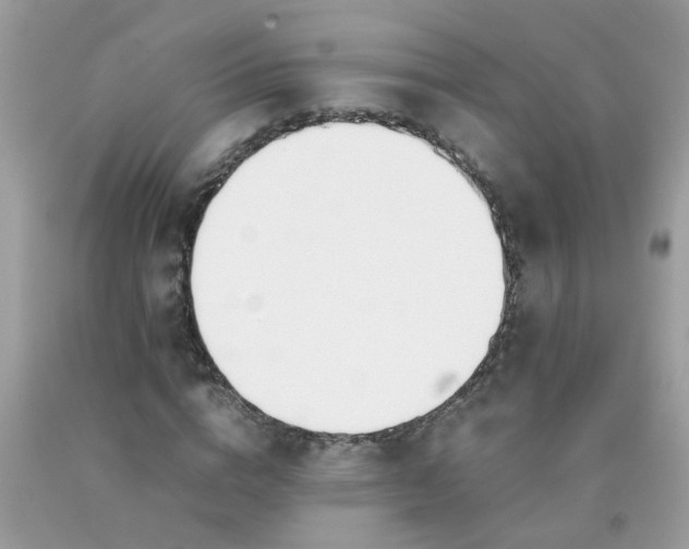 X0000090410824200707272047