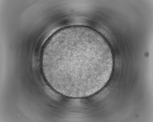 X0000090410828200707272047