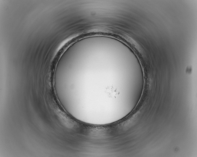 X0000090410830200707272047