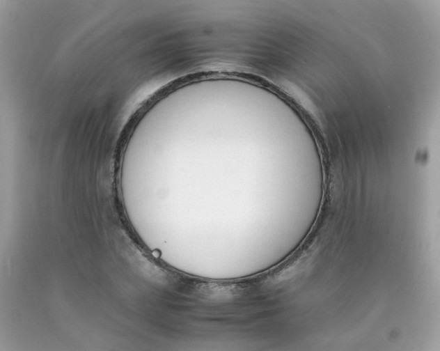 X0000090410831200707272047