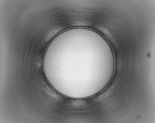 X0000090410833200707272047