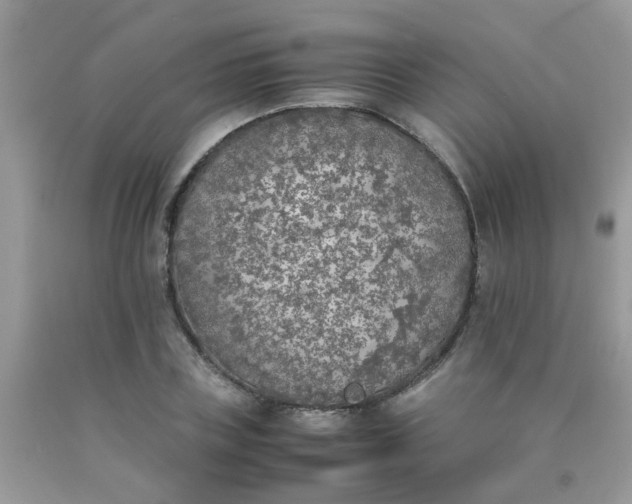 X0000090410835200707272047