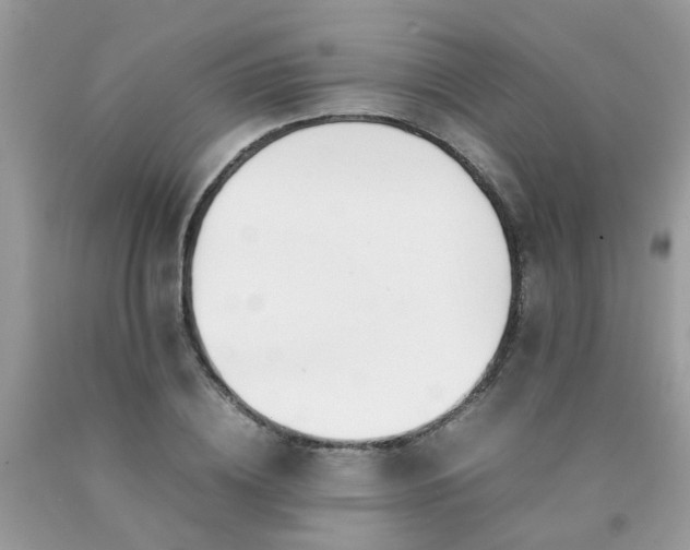 X0000090410836200707272047