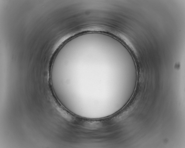 X0000090410837200707272047